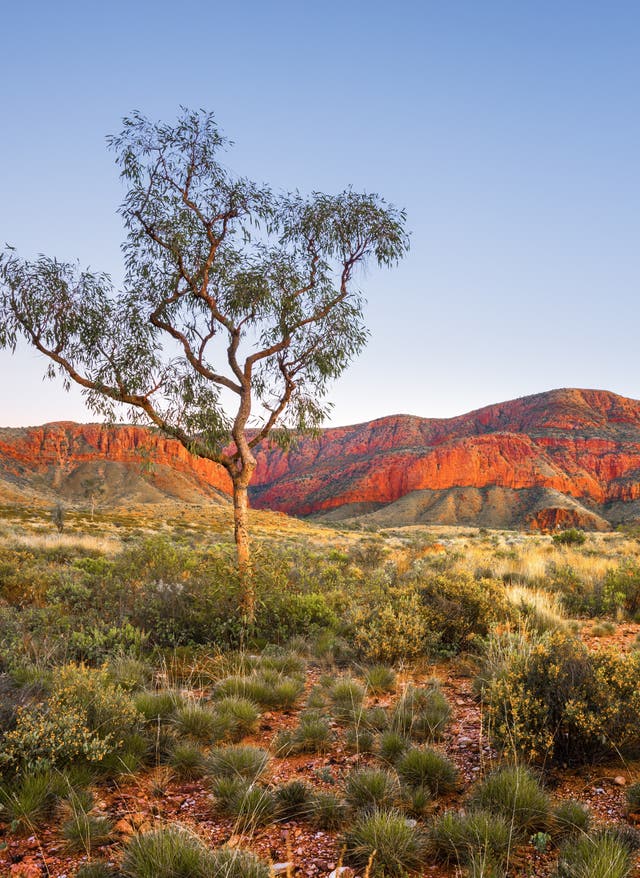 Reisetipps Australien & Neuseeland Landschaft im Northern Territory