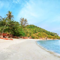 thailand-koh-samui-strand-palmen-t-635839532.jpg