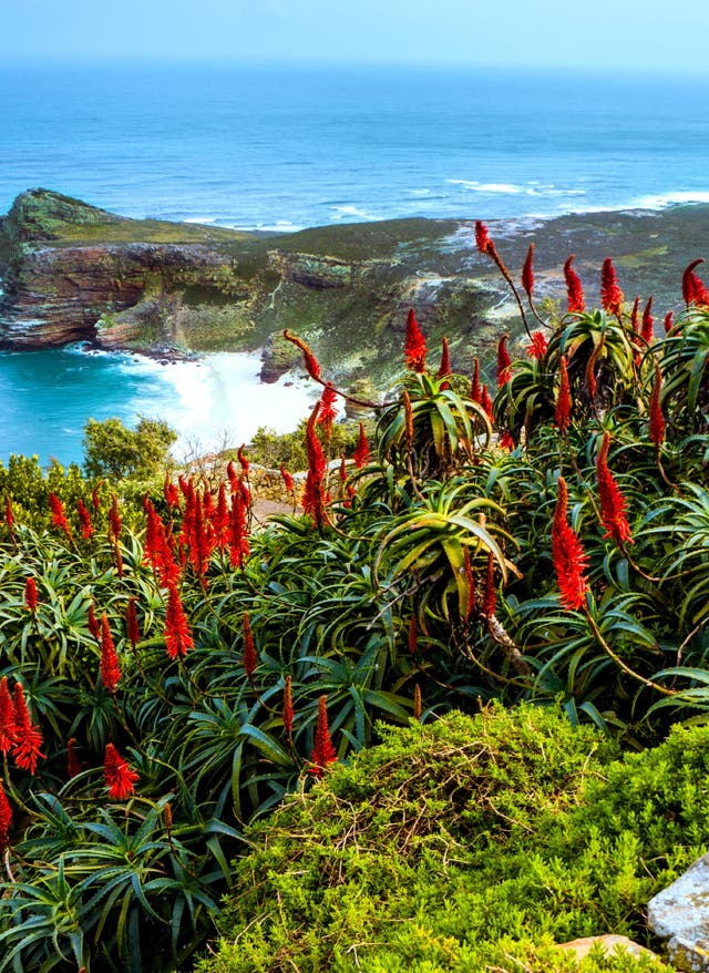 Die schönsten Naturschauspiele der Welt