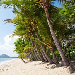 Palm Cove Hotels