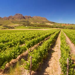 Stellenbosch Hotel