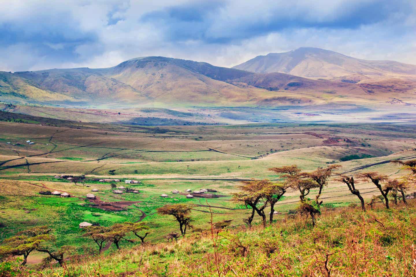 Afrika beste Reisezeit: Savanne in Tansania