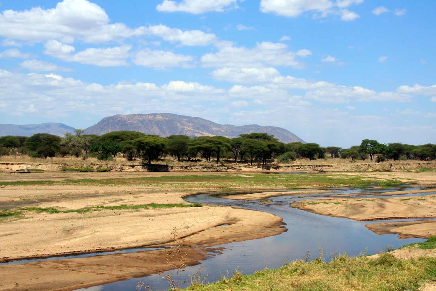 Tansanias Nationalparks: Ruaha-Fluss in der Trockenzeit
