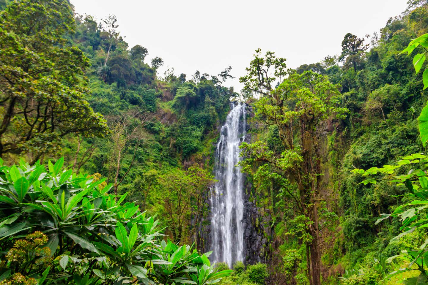Tansania Sehenswürdigkeiten: Materuni Wasserfall