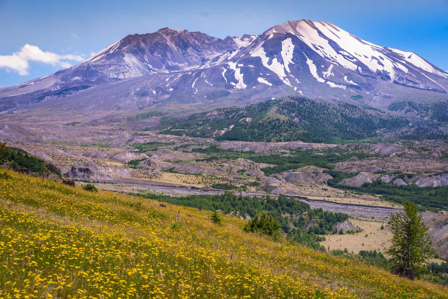 USA Washington Mount St. Helens
