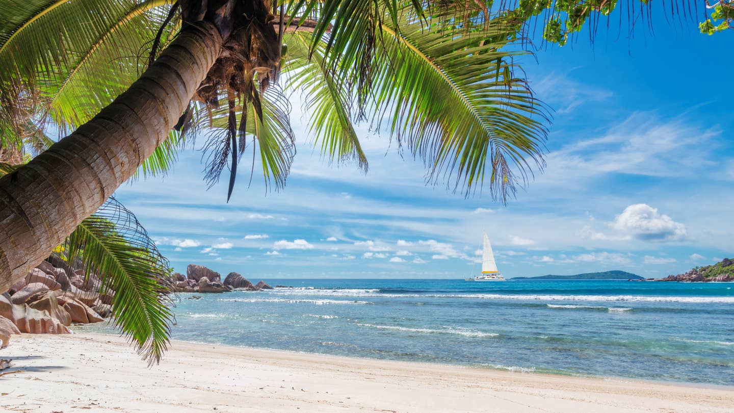 Jamaika Urlaub: Sandstrand mit Palmen