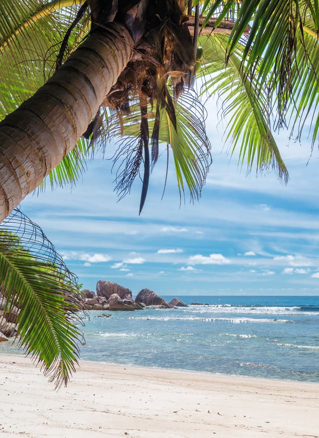 Angebote Jamaika Jamaika Montego Bay Meer von oben am Strand