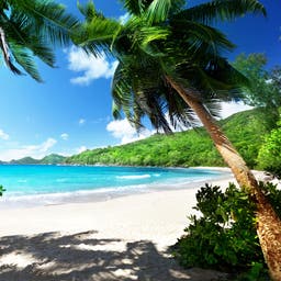 seychellen-mahe-silhouette-island-t-507400997.jpg