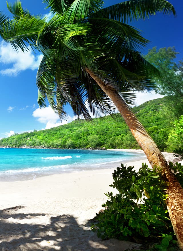 Strände auf den Seychellen Seychellen Mahe Silhouette Island