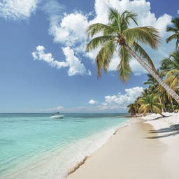 dominikanische-republik-punta-cana-strand-mit-palmen-g-1150862958.jpg