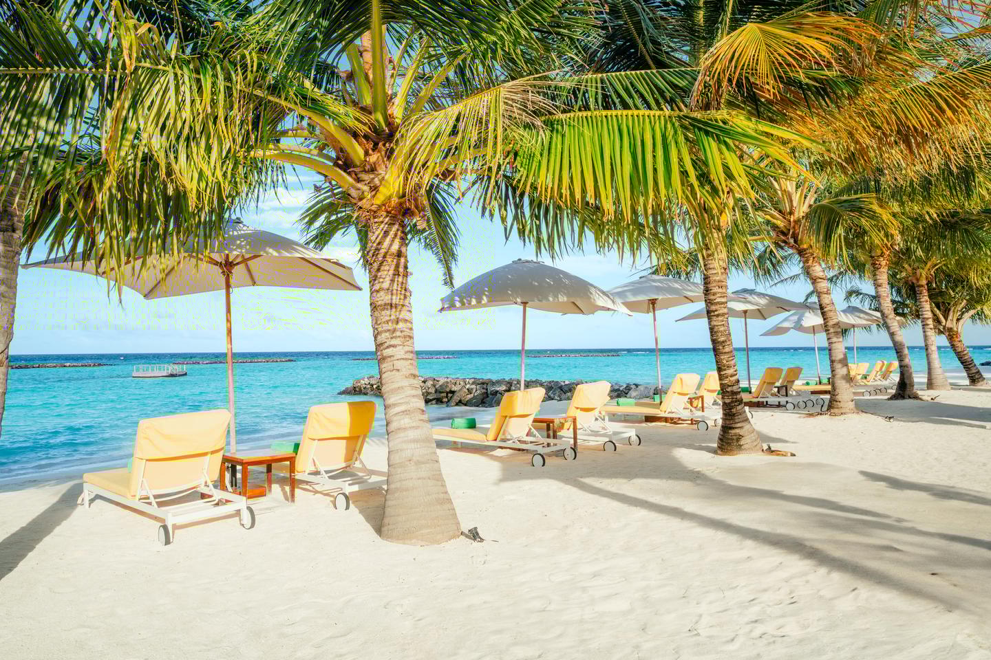 Liegen zwischen Palmen auf dem Hotelstrand