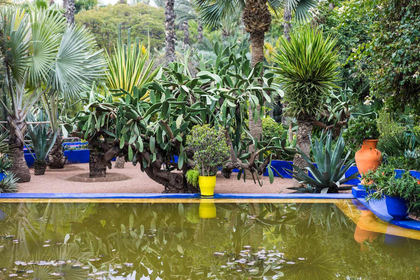 Afrikas Sehenswürdigkeiten: der Jardin Majorelle in Marrakesch Afrikas Sehenswürdigkeiten: der Jardin Majorelle in Marrakesch