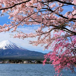 Hotels in Japan