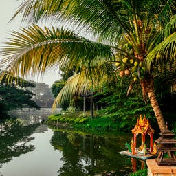 thailand-khao-lak-fluss-t-816177216.jpg