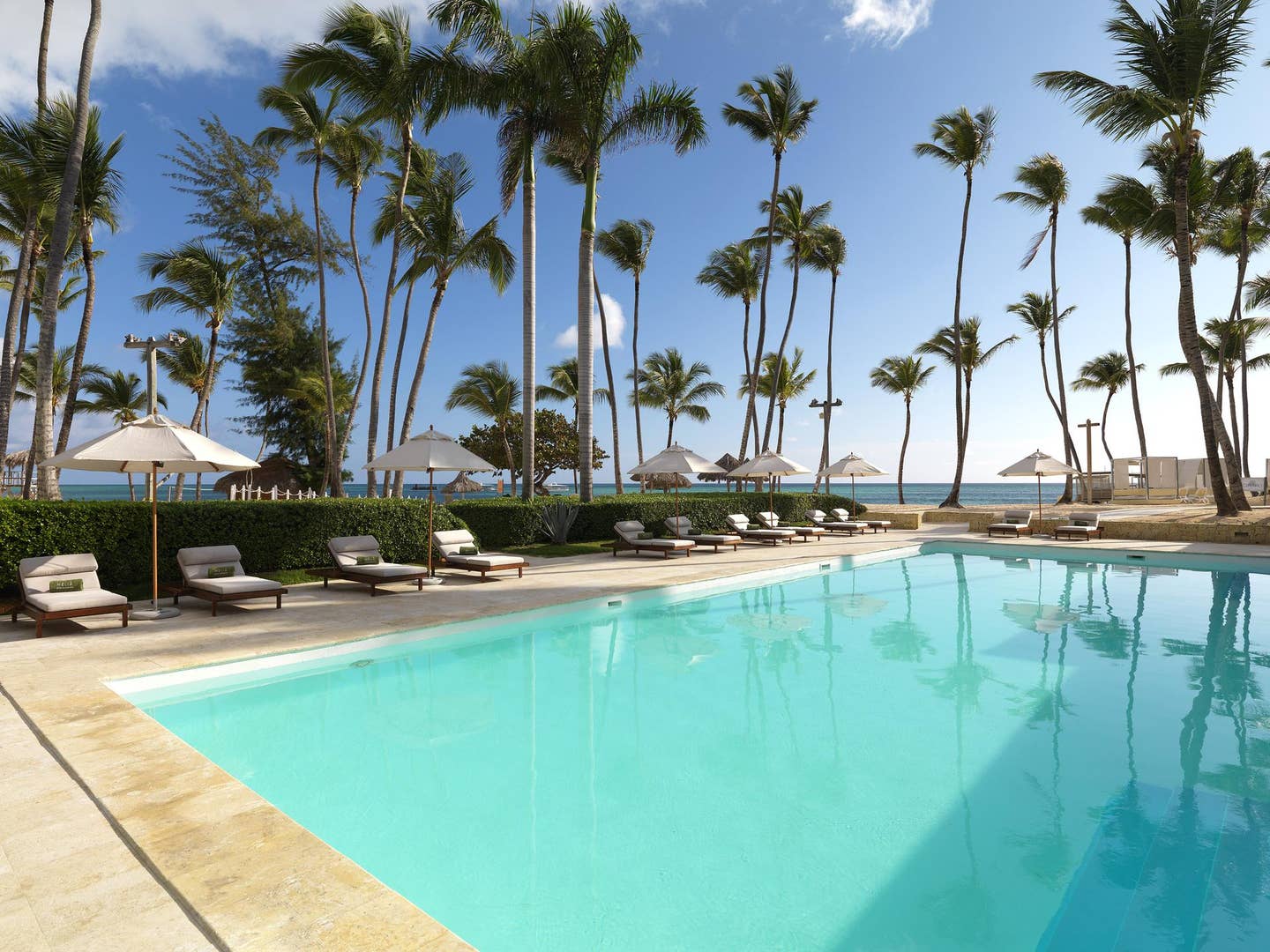 Melia Punta Cana Pool mit Palmen