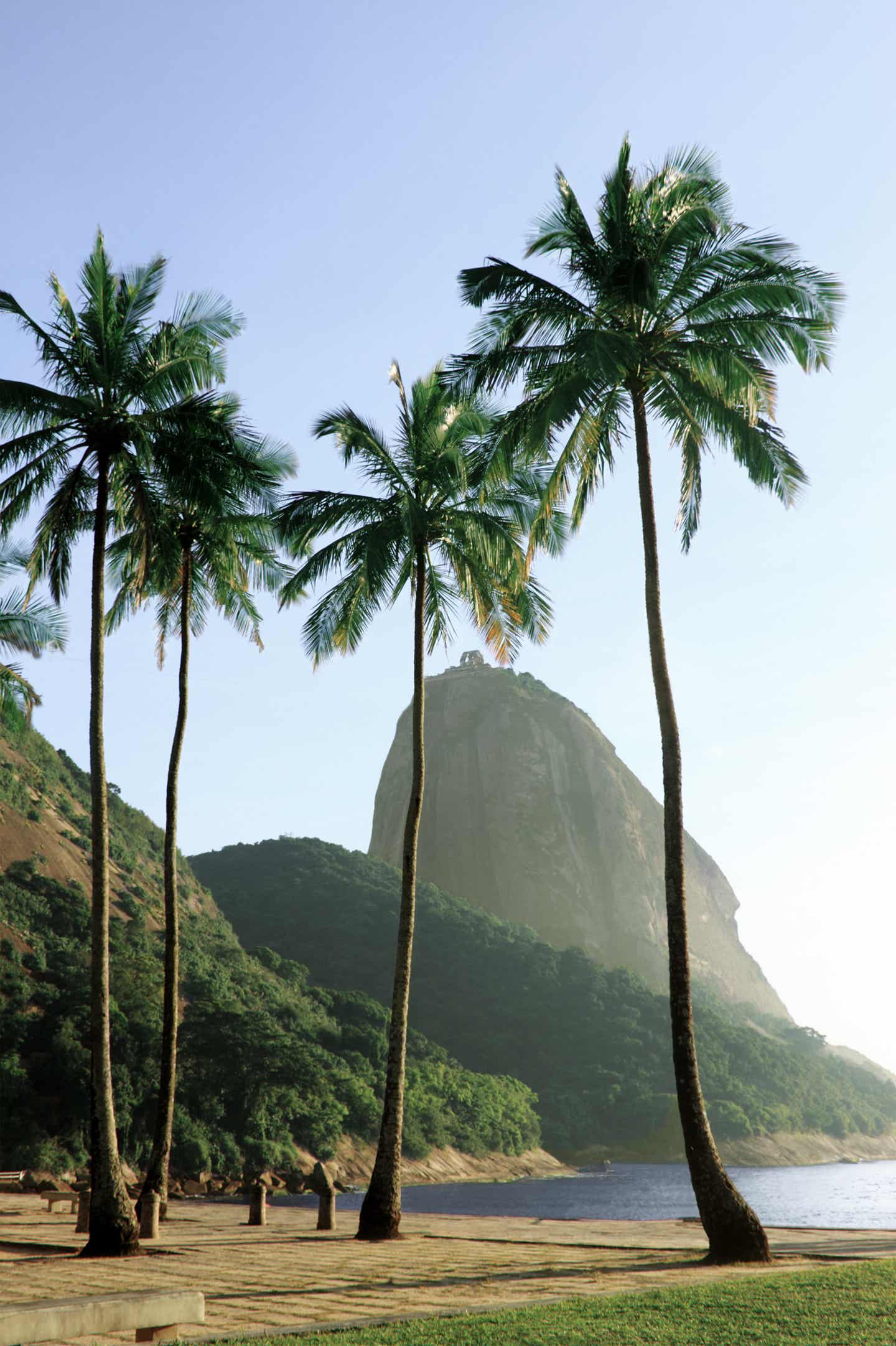 Vermelha Strand in Rio de Janeiro in Brasilien