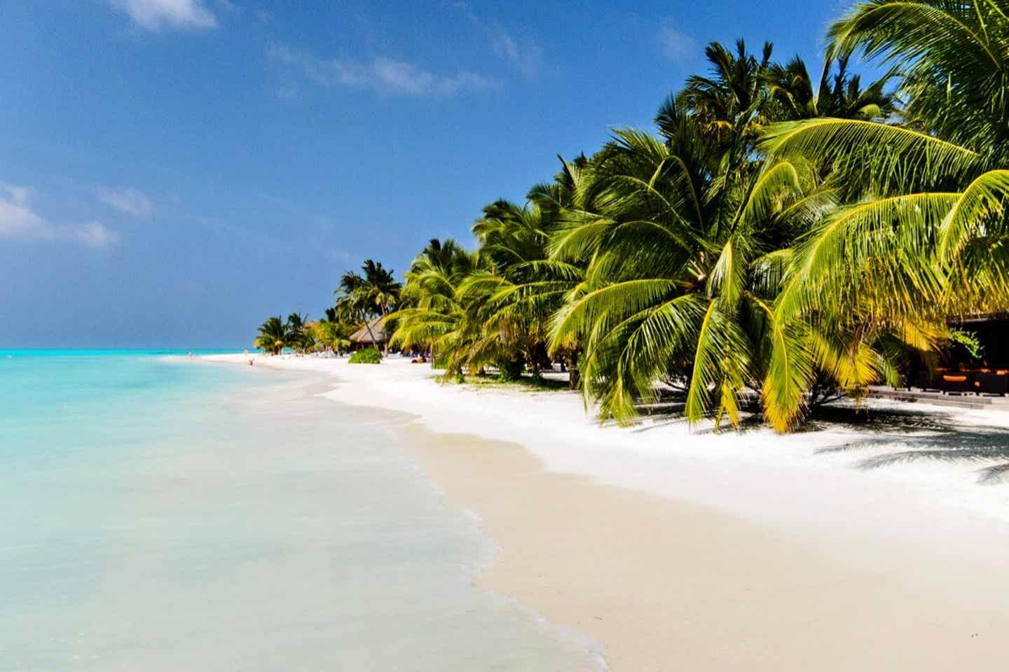 Malediven Strand Meeru Island