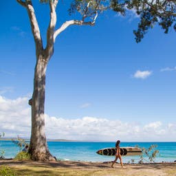 australien-queensland-noosa-national-park-f.jpg
