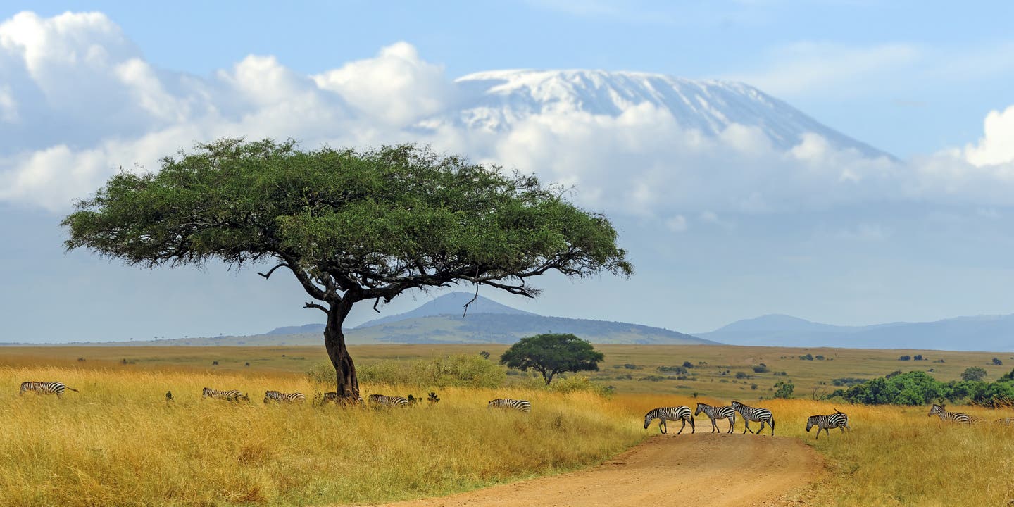 Kilimanjaro in Kenia