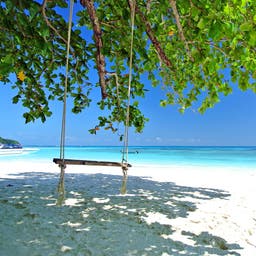 thailand-strand-schaukel-t-482730730.jpg