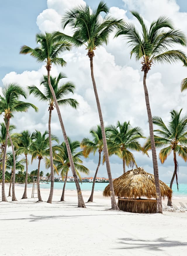 Jetzt entdecken Cap Cana in der Dominikanischen Republik
