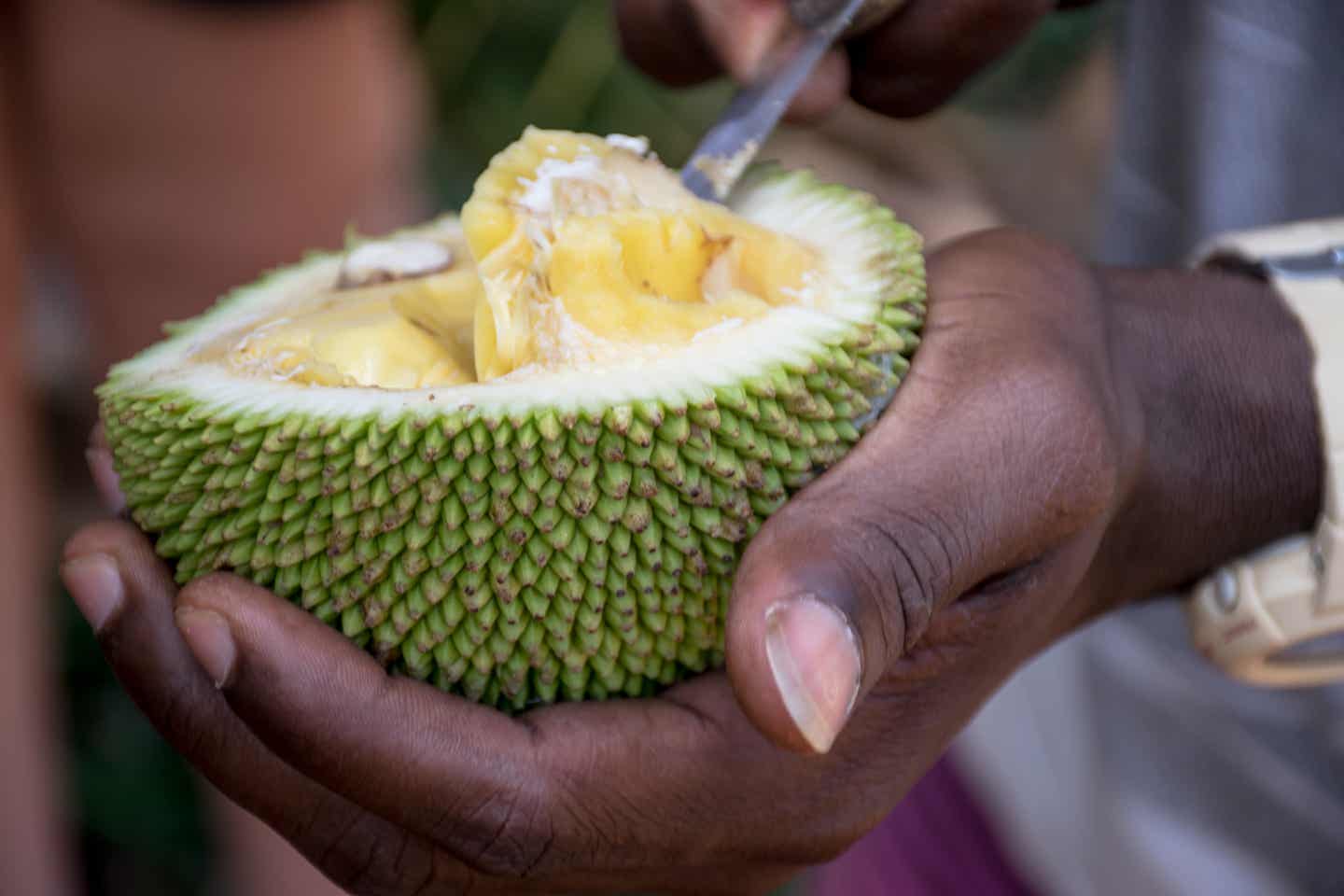 Sansibar Essen: Jackfruit