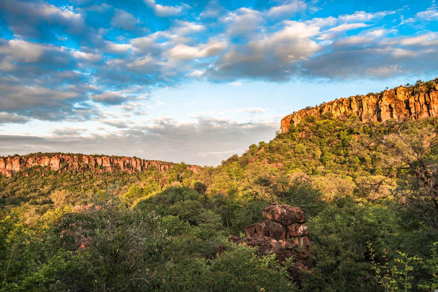 Namibias Sehenswürdigkeiten: Waterberg Plateu