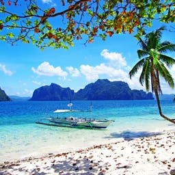 Palawan Hotels