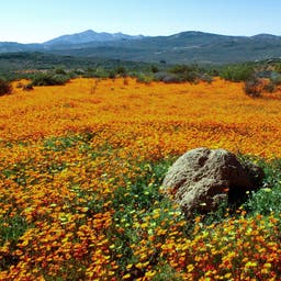 Hotels Northern Cape