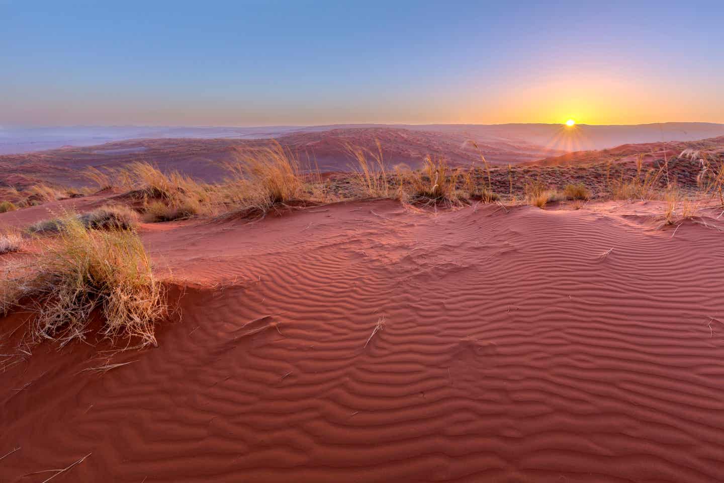 Namibia Reisezeit: Kalahari Wüste