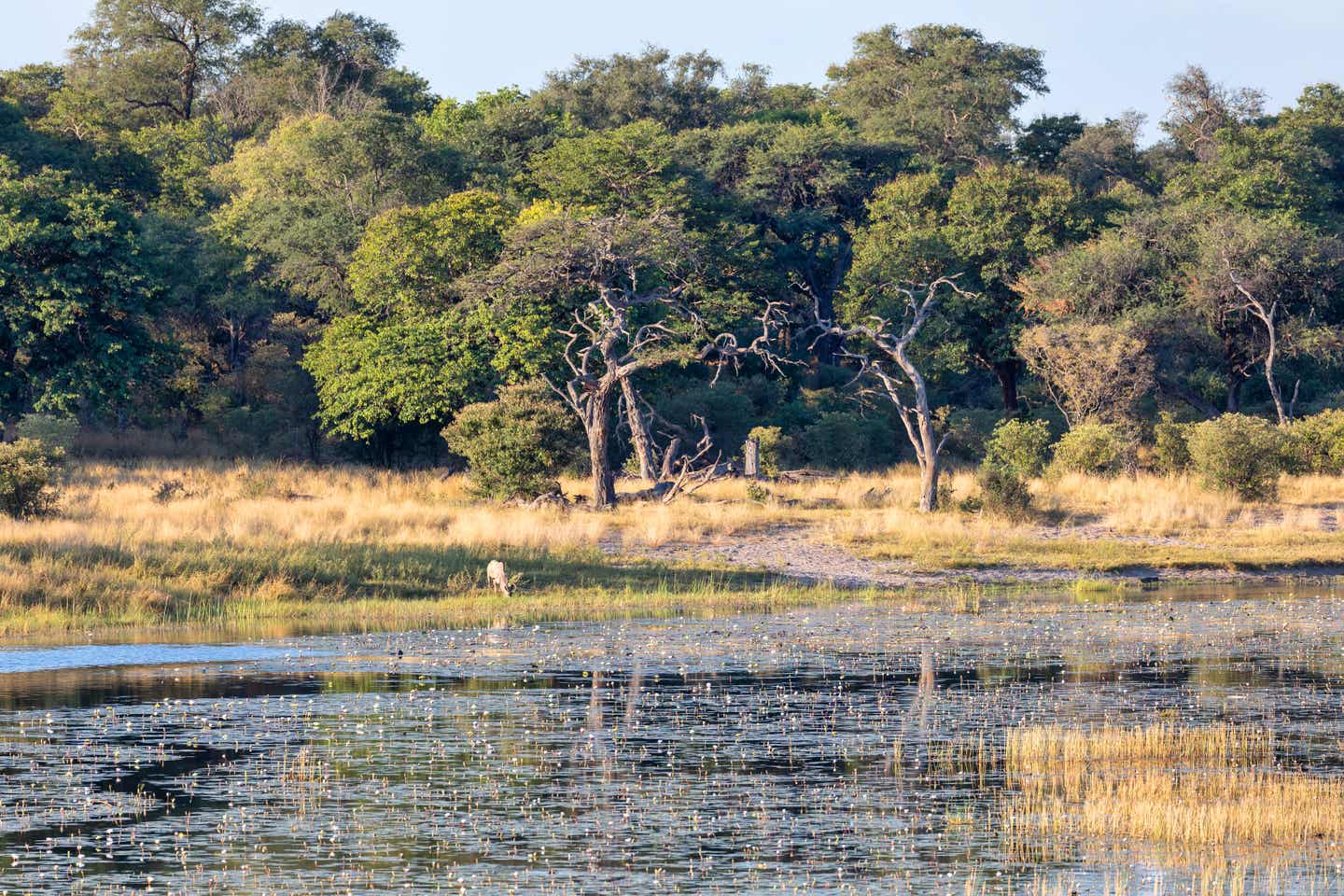 Namibias Nationalparks: Bwabwata-Nationalpark