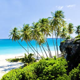 Barbados Hotel