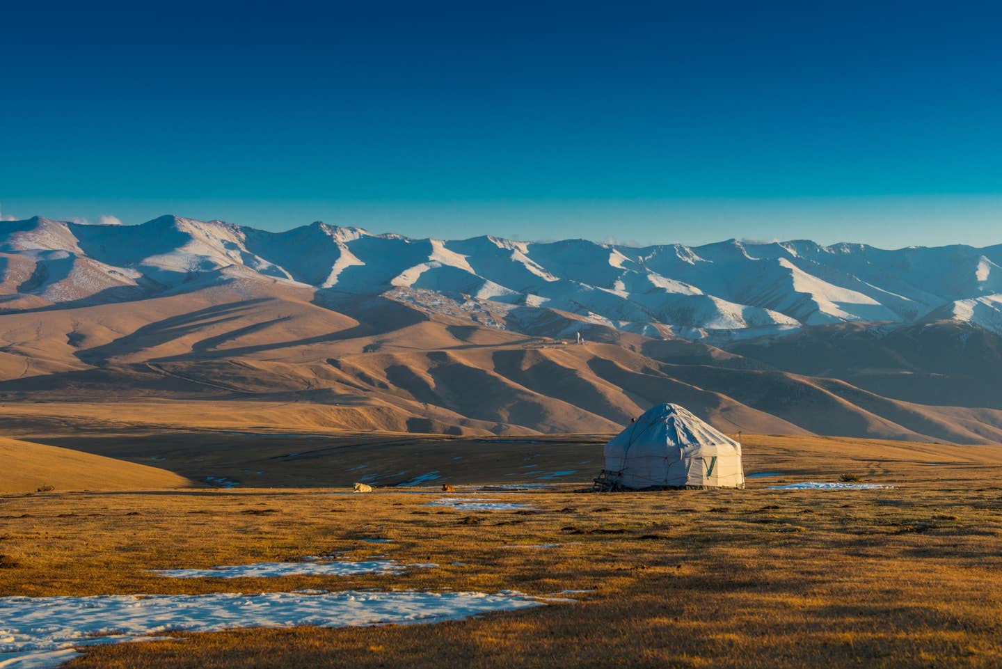 Rundreisen Mongolei: Nomadenzelte in der mongolischen Steppe Rundreisen Mongolei: Nomadenzelte in der mongolischen Steppe