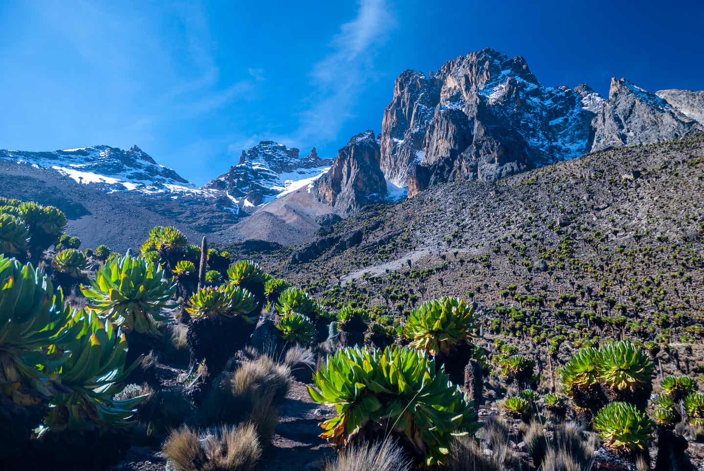 Kenia Urlaub: Landschaftsaufnahme kenianischer Berge
