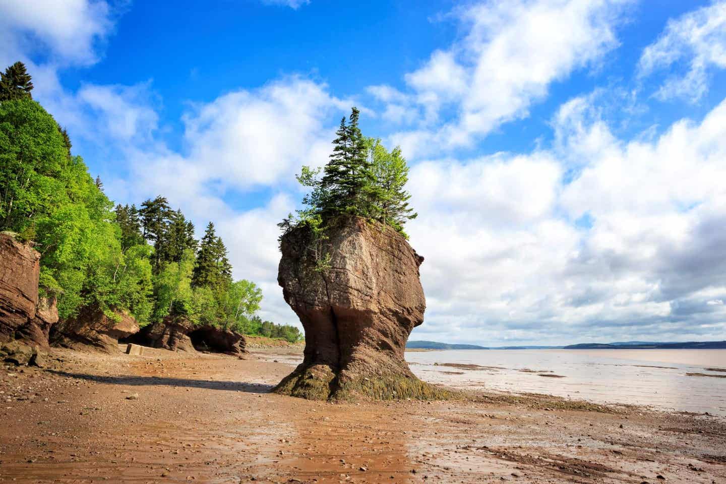 Brunswick Hopewell Rocks bei blauem Himmel