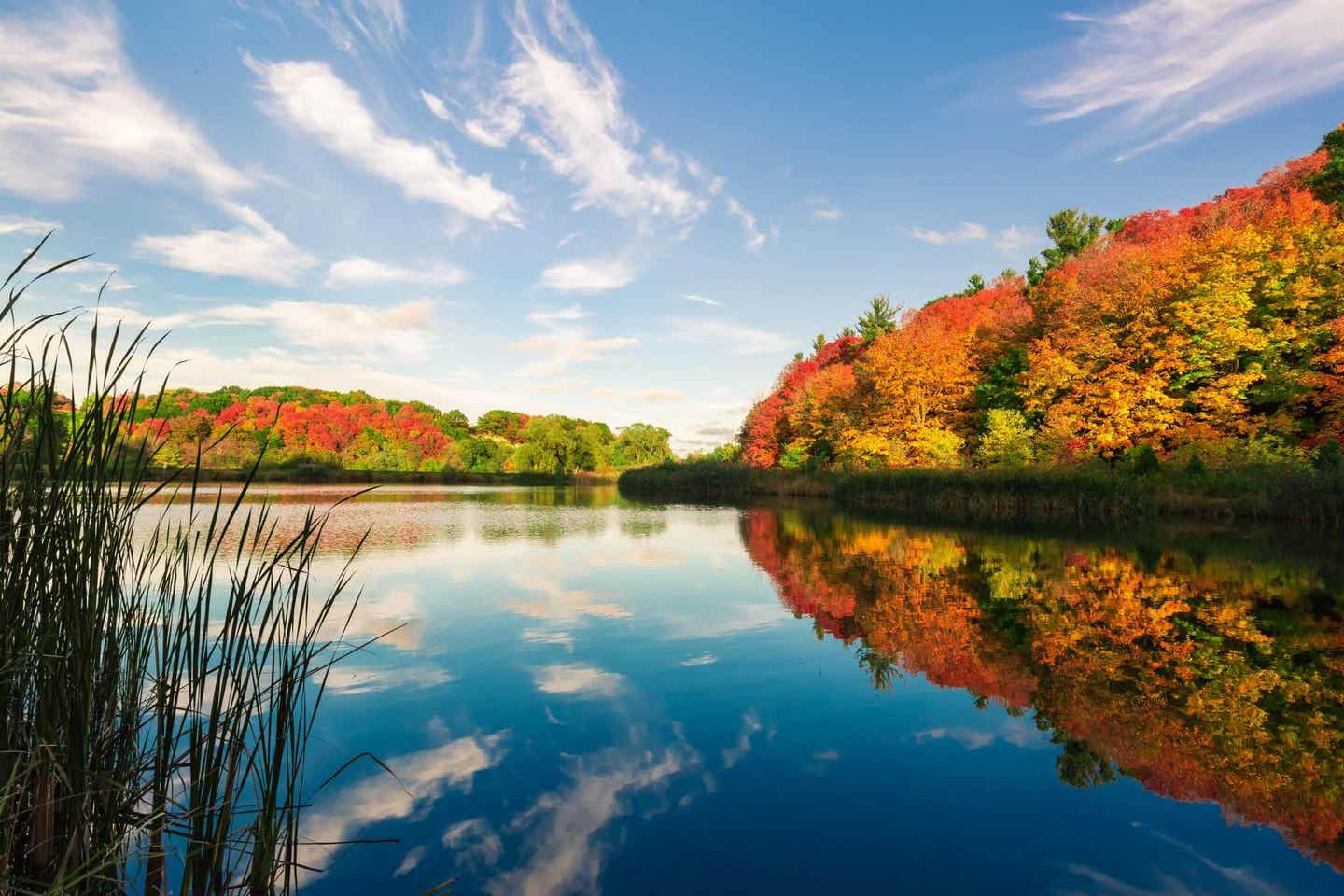 Idnian Summer in Kanada: klarer Himmel und bunte Bäume