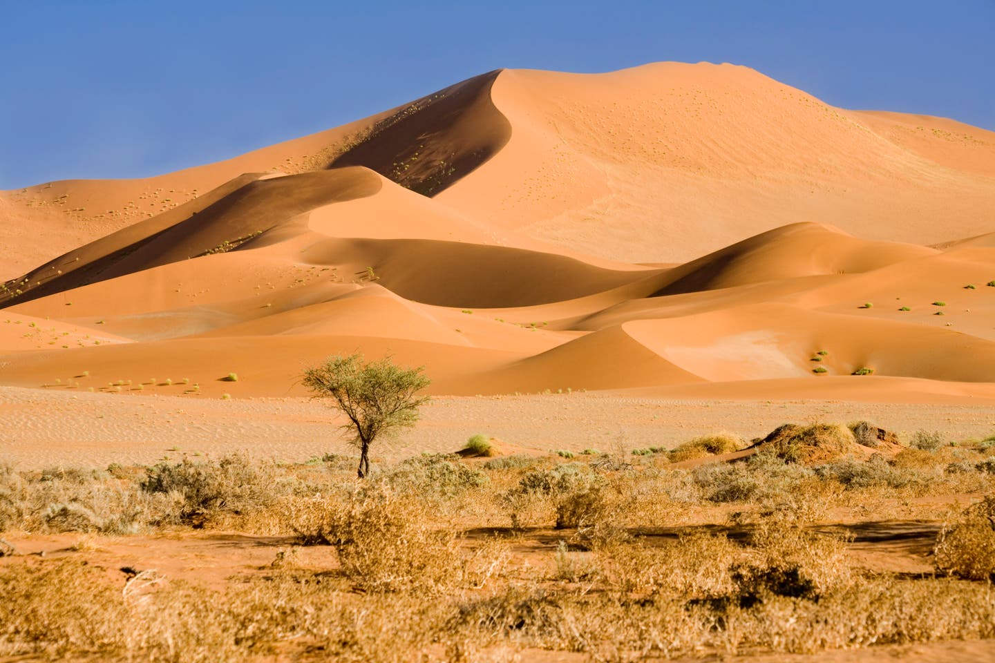 Namibia Sossusvlei Wüste