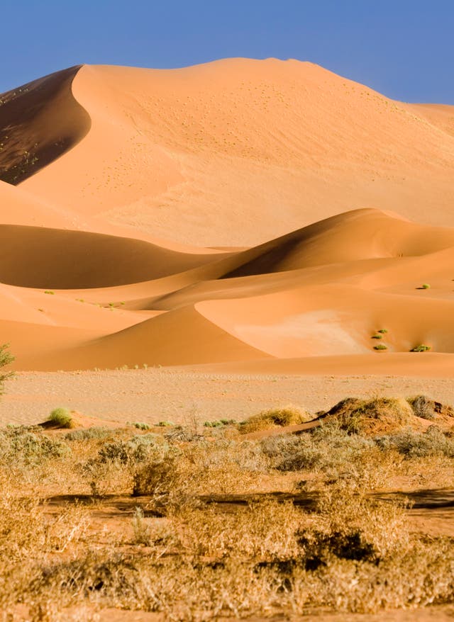 Sossusvlei