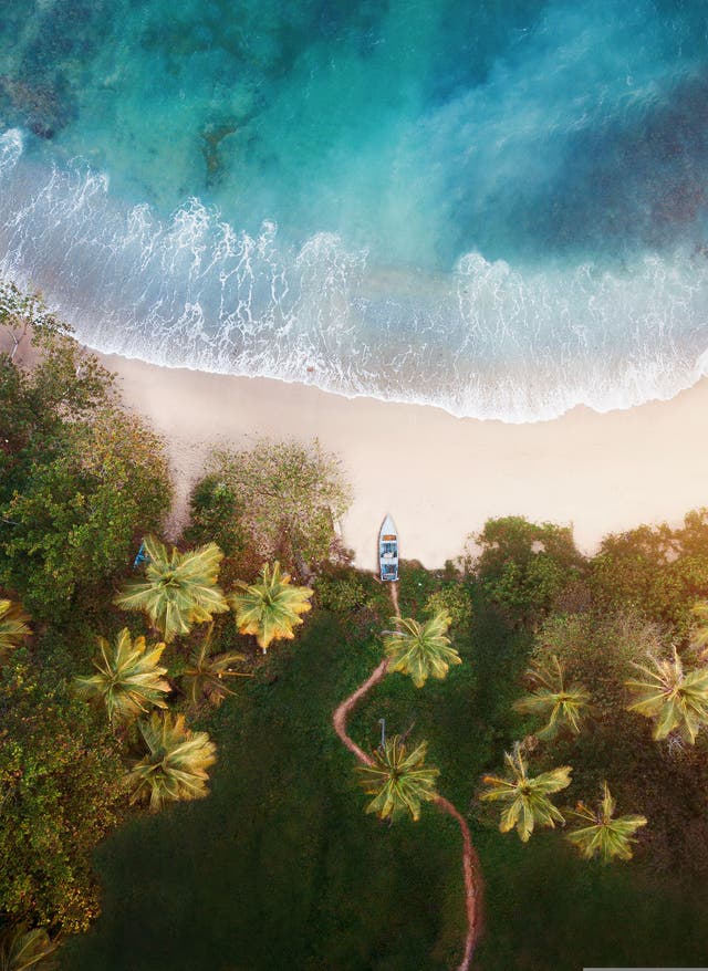 Zu den Angeboten Weihnachten in der Dominikanischen Republik verbringen