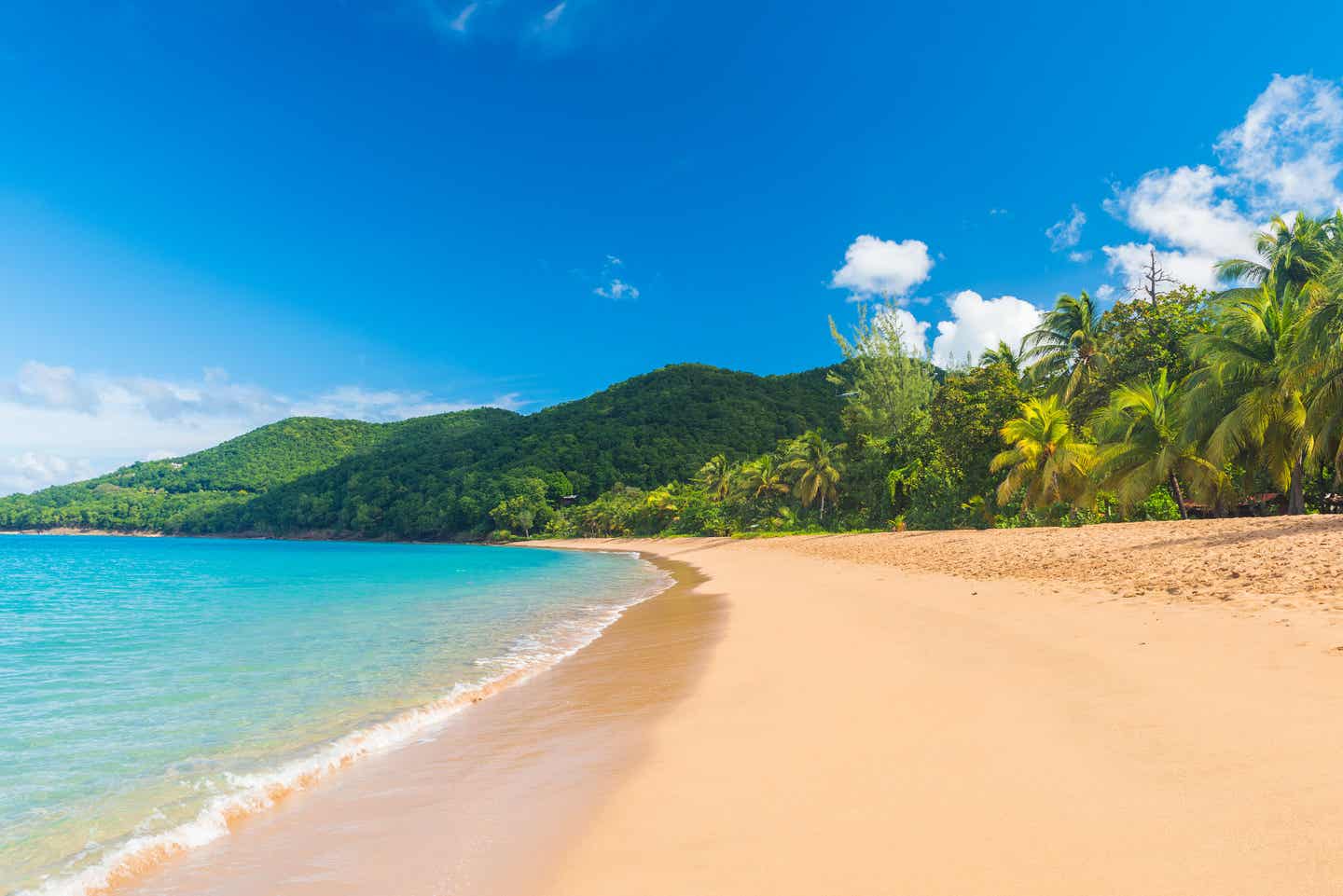 Karibik Visum: Grand Anse Beach