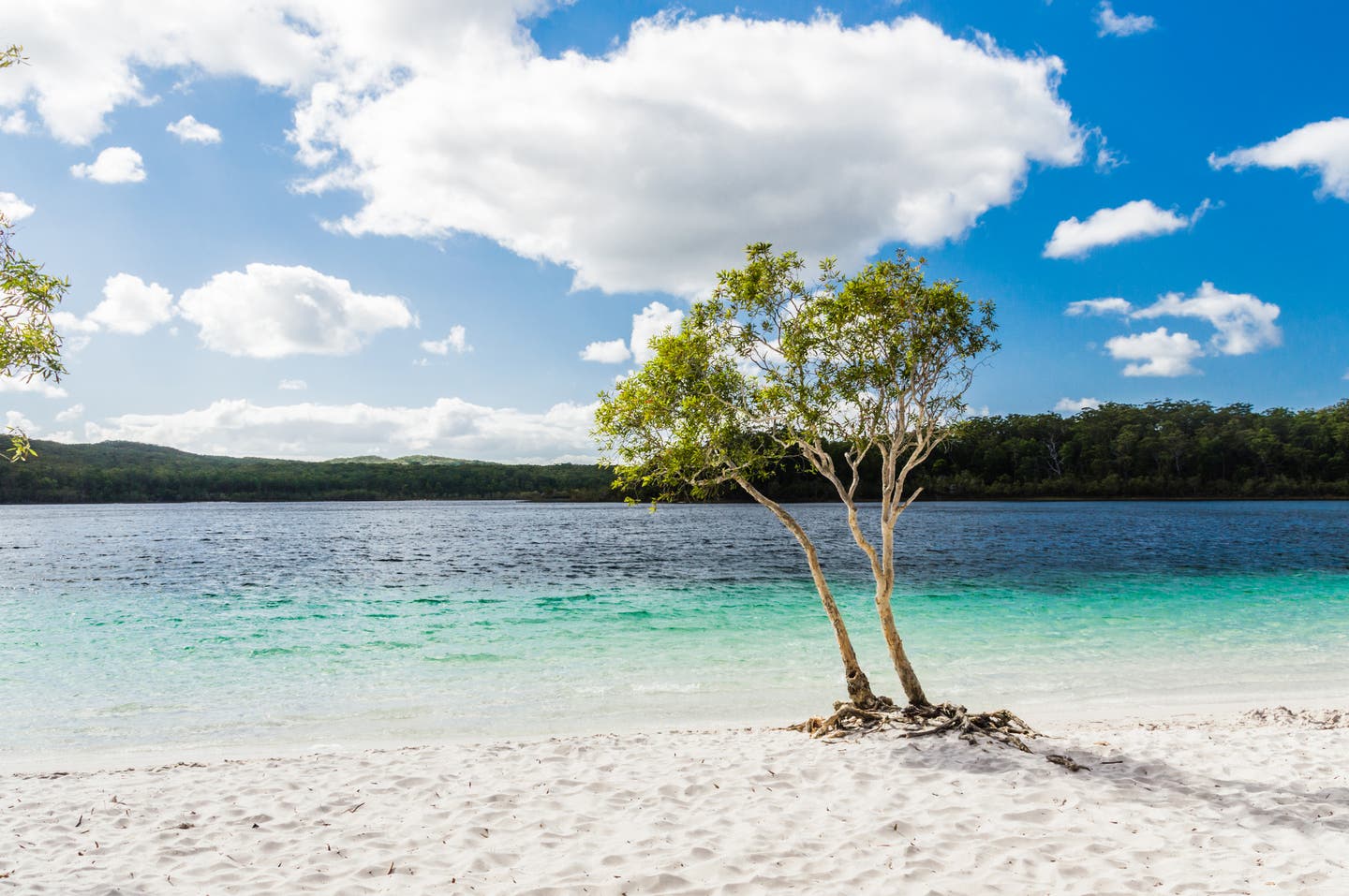 Australien Queensland Fraser Island