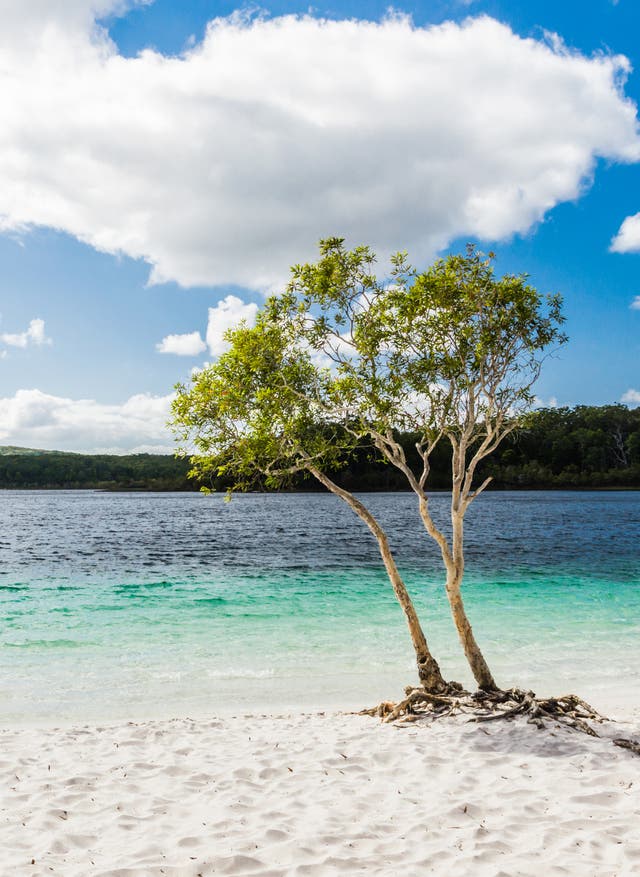Queensland in Australien