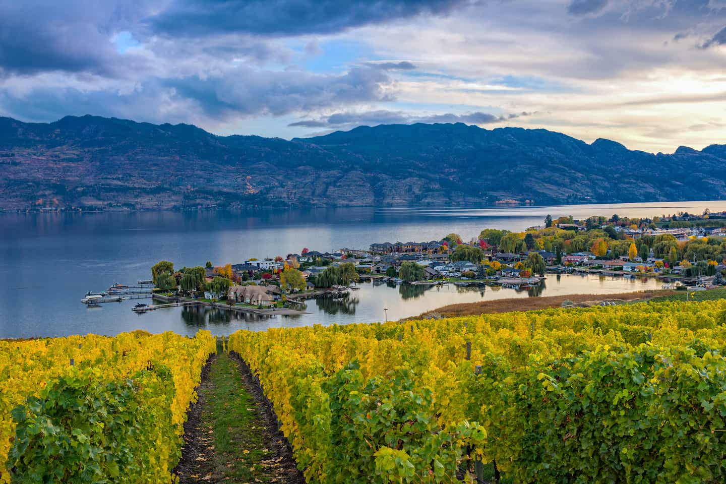 Blick auf den Okanagan Lake