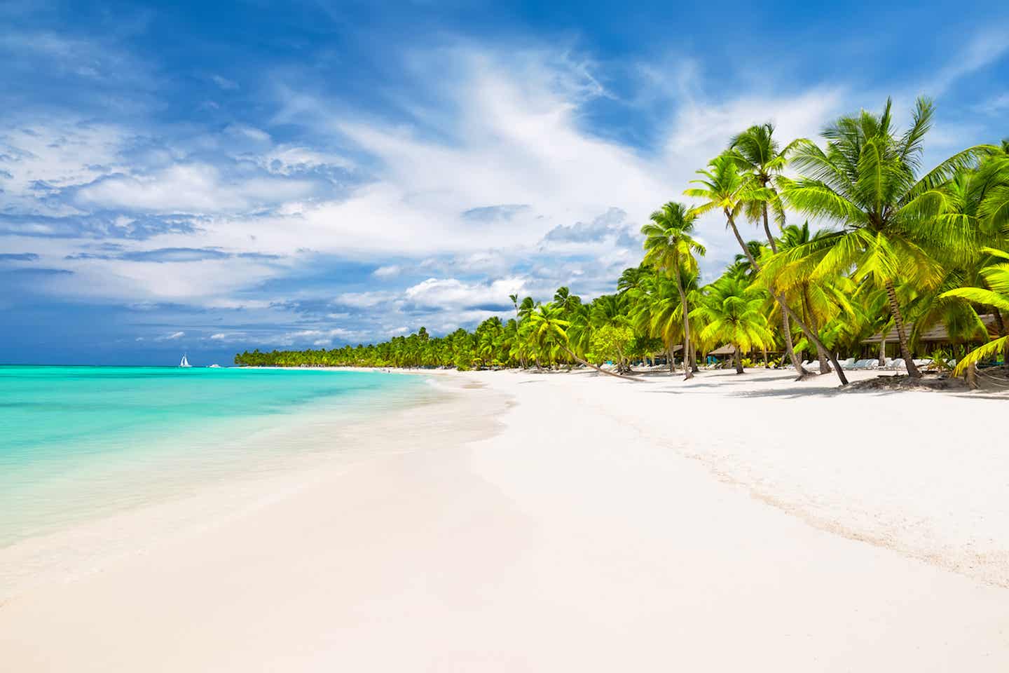 Beste Reisezeit Dominikanische Republik: weißer Sandstrand
