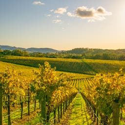 Napa Hotels