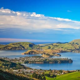 Dunedin Hotels