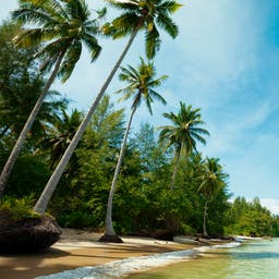 thailand-khao-lak-strand-t-177512546.jpg