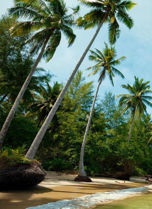 Aktivitäten in Khao Lak Thailand Khao Lak Strand