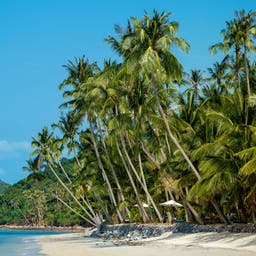 Bophut Beach Hotels