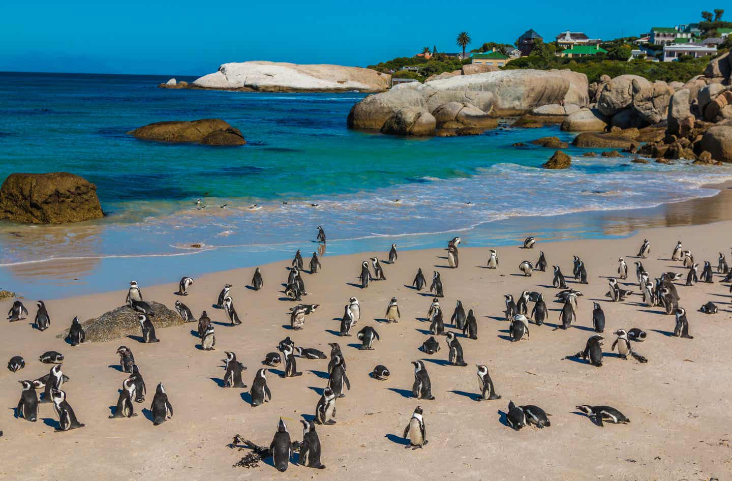 Afrika beste Reisezeit: Strand bei Kapstadt